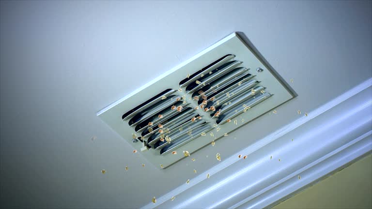 Best HVAC System Cleaning  in Port Angeles East, WA