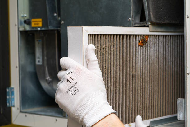 Best Ductwork Cleaning Services  in Port Angeles East, WA